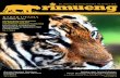 Volume 1 No. 3 - December 2011 KABAR … · Perdagangan Ilegal Satwa Liar telah melakukan pemantauan situs-situs yang memperjual-belikan satwa liar dilindungi, termasuk harimau Sumatera.
