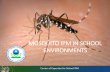 MOSQUITO IPM IN SCHOOL ENVIRONMENTS - US EPA · Mosquito IPM in School Environments •Dr. Michael Merchant Mike is the urban entomology specialist (“bug expert”) at the Texas