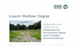 Lower Hollow Copse - WYG | Global Consultancy Why is Lower Hollow Copse being considered as a GTA site? • Government Planning Policy for Traveller Sites (PPTS) indicates that Local