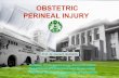 OBSTETRIC PERINEAL INJURY - Universitas Indonesiastaff.ui.ac.id/system/files/users/yunizaf/material/obstetriperinealinjury.pdf · OBSTETRIC PERINEAL INJURY ... Partial rupture of