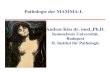 Pathologie der MAMMA-I. Andras Kiss dr. med.,Ph.D.semmelweis.hu/patologia2/files/2016/04/de_42.pdf · PHYLLOIDES TUMOR FIBROADENOM PHYLLOIDES TUMOR ... • Anschwellen der Mammae