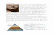 Summary - iblog.dearbornschools.org  · Web view1. Introduction. In this chapter, you will meet members of Egyptian society. You'll learn what Egyptian life was like during the New
