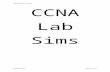 Contentsfreddofrog.org/Cisco/CCNA-200-120-Lab-Sims.docx  · Web view2017-05-07 · CCNA Lab Sims.docx. Page . 24. of . 52. CCNA Lab Sims. Contents. Contents2. ... Enable OSPF for