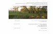 Bebauungsplan 12-58 ‚Biedenkopfer Straße ... · Gesamt M&L 116 Durchschnittlicher Gehölzwert 414,42 € ca. 20 Baumpflanzungen 8.288,35 € Ausgleich Gehölzwert abzüglich Neupflanzung