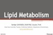 Lipid Metabolism - biyokimya.vetbiyokimya.vet/documents/biyokimya/Lipid_Metabolism.pdf · The lipid group that holds the most important place in the lipid metabolism of ruminants