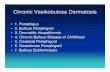 Chronic Vesikobulosa Dermatosis - ocw.usu.ac.idocw.usu.ac.id/.../emd166_slide_chronic_vesikobulosa_dermatosis.pdf · Chronic Vesikobulosa Dermatosis • 1. Pemphigus • 2. Bullous