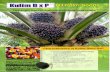  · The best DxP plots at 5-7 years after planting in Sampoerna Agro, Indonesia Variety DxP Sriwijaya DxP Sriwijaya 2 Sriwijaya 3 DxP Sriwijaya 4 DxP Sriwijaya 5 DxP Sriwijaya 6 Source: