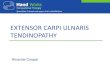 EXTENSOR CARPI ULNARIS tendinopathyhandworks.net.au/wp-content/uploads/2012/07/ECU... · •Stabilises the tendon at the level of the distal ulna •ECU subsheath lies deep to the