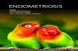 EndomEtriosis - lifefertility.com.au · Endometriosis is a common and sometimes painful condition of the reproductive system, which affects up to one in 10 women. 1 e it being so