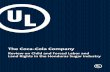 The Coca-Cola Company · Review on Child and Forced Labor and Land Rights in the Honduras Sugar Industry page 3 Introduction The Coca-Cola Company (TCCC) has established industry-leading