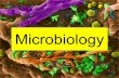 Scope and History of Microbiology - kcesmjcollege.in · Microbiology is the Science that studies Microorganisms. Microorganisms, roughly, are those living things that are too small