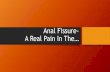Anal Fissure- A Real Pain In The… - tbms.ca · intrinsic non-adrenergic, non-cholinergic pathway mediating relaxation of the internal anal sphincter. •Topical application of nitroglycerin,