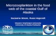 Microzooplankton in the food web of the coastal Gulf of Alaska · Microzooplankton in the food web of the coastal Gulf of Alaska Suzanne Strom, Russ Hopcroft Western Washington University