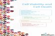 Cell Viability and Cell Death - Biotium - Glowing Products for … · 2018-01-04 · Cell Viability and Cell Death Microbial Viability PMAxx™ and PMA for viability PCR ... p. 10