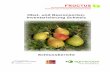 Obst- und Beerensorten- Inventarisierung Schweiz - fructus.ch · Eingereicht durch die Vereinigung FRUCTUS, Wädenswil, ausgeführt durch Agroscope FAW Wädenswil in Zusammenarbeit