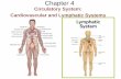 Circulatory System: Cardiovascular and Lymphatic Systems208.93.184.5/~jones/medterm/c4ppt.pdfFunctions of the Cardiovascular System Circulates blood throughout the body, delivering