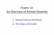 Chapter 32: An Overview of Animal Diversity - Untitled Page Chapter 32.pdf · An Overview of Animal Diversity 1. General Features of Animals 2. The History of Animals. 1. General