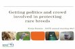 Getting politics and crowd involved in protecting rare breeds · Getting politics and crowd involved in protecting . rare breeds . Nonja Remijn - SAVE annual meeting 2017