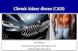 Chronic kidney disease (CKD) - kielstein.com · Chronic kidney disease. 1. Epidemiologie CKD 2. Nieren-TÜV 3. Folgen der chronischen Nierenkrankheit 4. Prävention der Progression