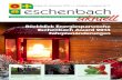 ab Seite 2 RückblickEnergiesparwoche Eschenbach Award 2013 ... · Fäh Sanitär GmbH, Eschenbach. Beide Unternehmen haben die wirtschaftlich günstigsten Angebote eingereicht. Spatenstich