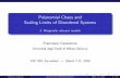 Polynomial Chaos and Scaling Limits of Disordered Systems ...fcaraven/download/slides/eindhoven-3.pdf · Polynomial Chaos and Scaling Limits of Disordered Systems 3. Marginally relevant