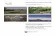 Oberirdische Gewässer Band 35 - nlwkn.niedersachsen.de · Alle Karten des Berichts im PDF-Format . Gewässerüberwachungssystem Niedersachsen (GÜN) –Nährstoffe in niedersächsischen
