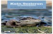 Kein Sezieren - peta.de · Digital Frog International beinhaltet ein Modul zum Kreislaufsystem von Fröschen, verglei- chende Anatomiemodelle und einen detaillierten Vergleich der