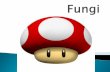 Fungi are multicellular eukaryotic - WordPress.com · Fungi are multicellular eukaryotic heterotrophs that do not ingest their food but rather absorb it through their cell walls and