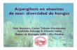 Aspergilosis en abanicos de mar: diversidad de hongos · A. flavus. objetivos comparar ... Aspergillus flavus. Dosis diario que produce tumores en 50% de ratas machos (en g) etanol
