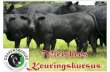 ADMINISTRASIE - drakensbergers.co.za · produksie meting skema fase a koei prestasie reproduksie vermoË besettingspersentasie tkp ouderdom eerste kalwing melkproduksie vermoË voorspeen