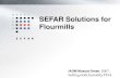 SEFAR Solutions for Flourmills - IAOM MEA · 2. SEFAR - Solutions for Flourmills 1. Introduction 2. SEFAR-Solutions for Flourmills 2.1 Sifters 2.2 Purifiers 2.3 Centrifugal sifters
