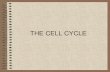 THE CELL CYCLE - kyrene.org · Cell Division Classification Stage Name Process 1 Cell doubles in size; DNA is copied 6 2 3 5 4 Interphase Mitosis Cytokinesis Prophase Metaphase Anaphase