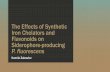 The Effects of Synthetic Iron Chelators and Flavonoids on ...jkswanson.com/STEM17Pres23.pdf · The Effects of Synthetic Iron Chelators and Flavonoids on Siderophore-producing P. fluorescens