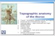 Topographic anatomy of the thorax - nikolai.lazarov.pronikolai.lazarov.pro/.../Topographical_Anatomy_of_the_Thorax.pdf · Topographic anatomy of the thorax 1. Thorax –boundaries,
