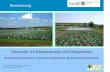 Bewässerung - Startseite | Grüne Seiten · Verdunstung (Penman) x Kc – Regen = Tagesbilanz - Bewässerungstechnik und wassersparende Verfahren - Regnerleitungen, Beregnungsmaschinen,