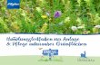 Handlungsleitfaden zur Anlage & Pflege naturnaher Grünflächen · 4 5 Grußwort Liebe Leserinnen und Leser, mit „Wiese x 16“ hat der Landkreis Ostallgäu ein mächtiges Zeichen
