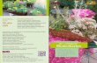 Der „intelligente“ Blumenkasten · Bayerische Landesanstalt für Weinbau und Gartenbau Lippenblütler, die gleichzeitig als Gewürzkräuter Verwendung finden: Thymian (Thymus