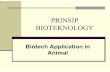 PRINSIP BIOTEKNOLOGY - ocw.usu.ac.idocw.usu.ac.id/.../8110000043_slide_biotech_application_in_animal.pdf · Materi Conventional Methods, selective breeding Transgenic Animal How to