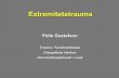 Pelle Gustafson - Region Norrbotten riksgr -07... · Riksgränsen2007/extr/PG. Extremitetstrauma • Hur vanligt är extremitetstrauma? • Hur allvarligt är extremitetstrauma? •