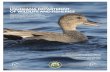 CONSERVATION PROPOSAL TO LOUISIANA DEPARTMENT … · 2019-2021 Conservation Proposal Submitted by Ducks Unlimited Canada and Ducks Unlimited Inc. May 25, 2018 CONSERVATION PROPOSAL