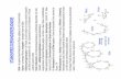 STÄRKEVERZUCKERUNGSERZEUGNISSE - alt.wzw.tum.dealt.wzw.tum.de/fileadmin/Dokumente/Zucker_2013/06-Zucker_II.pdf · -Amylase versetzen und bei 80 - 100 °C aufschließen (5-10 min);