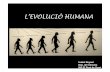 L’EVOLUCIÓHUMANA · • L’evolució cultural. Apareix fa uns 4 milions d’anys i comporta El bipedisme una sèrie de canvis: • La columna vertebral : disposició vertical