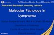 TLSG Lymphoma Education Course, 22 September 2018 …tsh.or.th/file_upload/files/อ_ สัญญา 1_ Molecular Pathology in Lymphoma... · Taub R, Kirsch I, Morton C, Lenoir G,