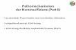 Pathomechanismen der Herzinsuffizienz (Part II)ww2.uk-essen.de/pathophysiology/pdf/heartfailure2.pdf · Myokard Sympathikus Niere Noradrenalin-freisetzung Noradrenalin-freisetzung