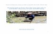 Kế hoạch Quản lý xói lở, Phục hồi rừng ngập mặn và sinh kế ...coastal-protection-mekongdelta.com/download/library/110.Plan4Erosion... · tướng Chính phủ