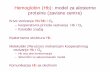 Hemoglobin (Hb): model za alosterne proteine (zavisne centre)vniketic/pnk/12_hb.pdf · Hemoglobin (Hb): model za alosterne proteine (zavisne centre) Krive vezivanja Hb/Mb i O. 2:
