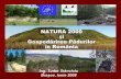 NATURA 2000 şi Gospodărirea Pădurilor în România · Silvicultura. Gospod. ă . rirea fondului forestier na ... tehnice silvice, economice şi juridice privind amenajarea, cultura,