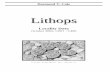 Lithops Locality Data (C1-C400), October 2002 file1 Introduction This list includes all “C” numbers allocated to date in the Cole numbering system of Lithops, and approximate locality