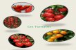 Les Tomates - cdn.website-start.de · Les parasites Les œillets d’Inde (appelés aussi tagètes) agissent efficacement contre les nématodes. Penser à en planter en même temps