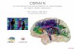 CBRAIN · CBRAIN An International Computing Platform for Neuroimaging Dr. Alan C. Evans’ Laboratory BIC Lecture, Feb 2012 by Marc-Etienne Rousseau